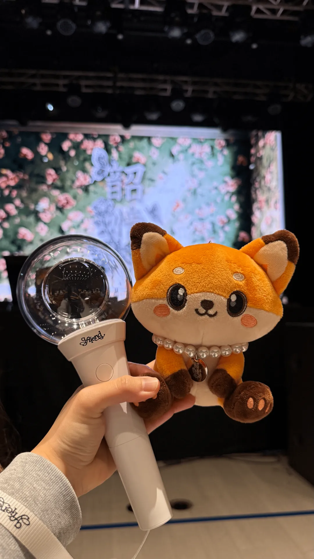 Clapper Studio 自動建檔區域: cla-a1 2排1號 視野照片 - Sowon