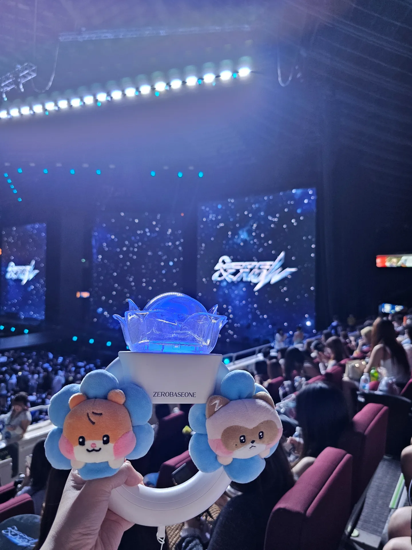 新加坡室內體育館 (Singapore Indoor Stadium) 231 區 19排18號 視野照片 - ZEROBASEONE HERE&NOW