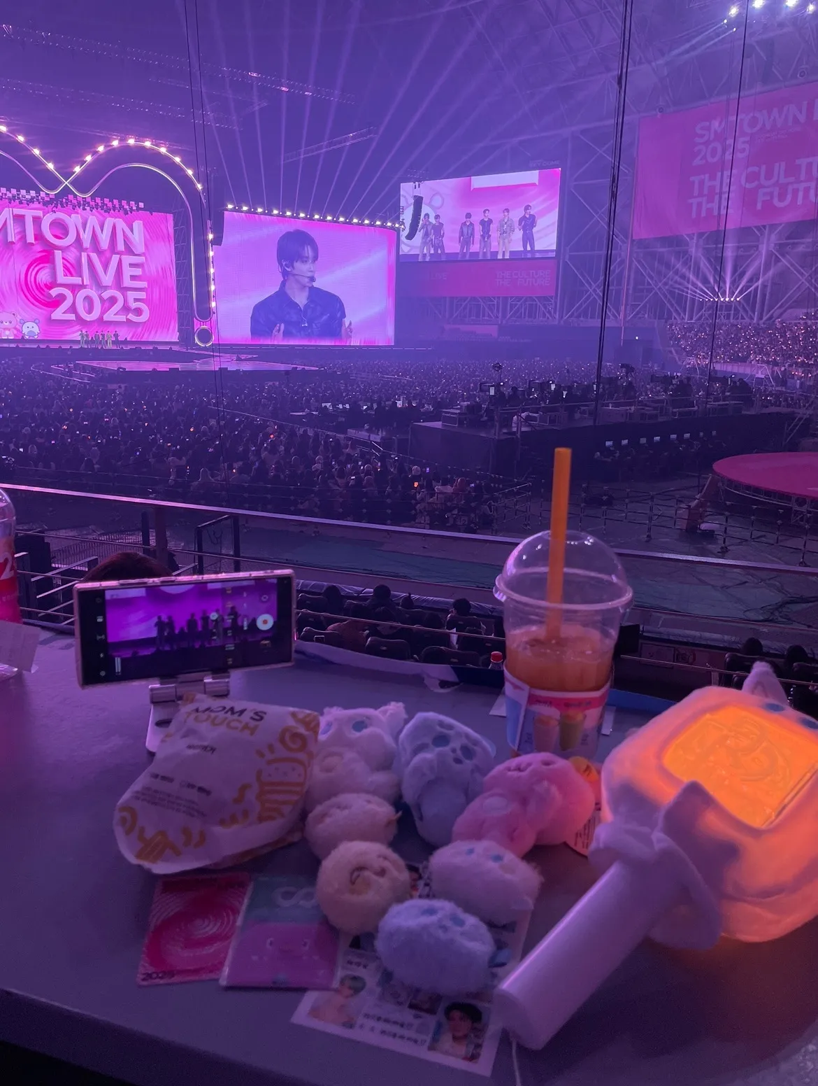 Gocheok Sky Dome 高尺天空巨蛋 自動建檔區域: gsd-t06 B排排6號號 視野照片 - SMTOWN 2025